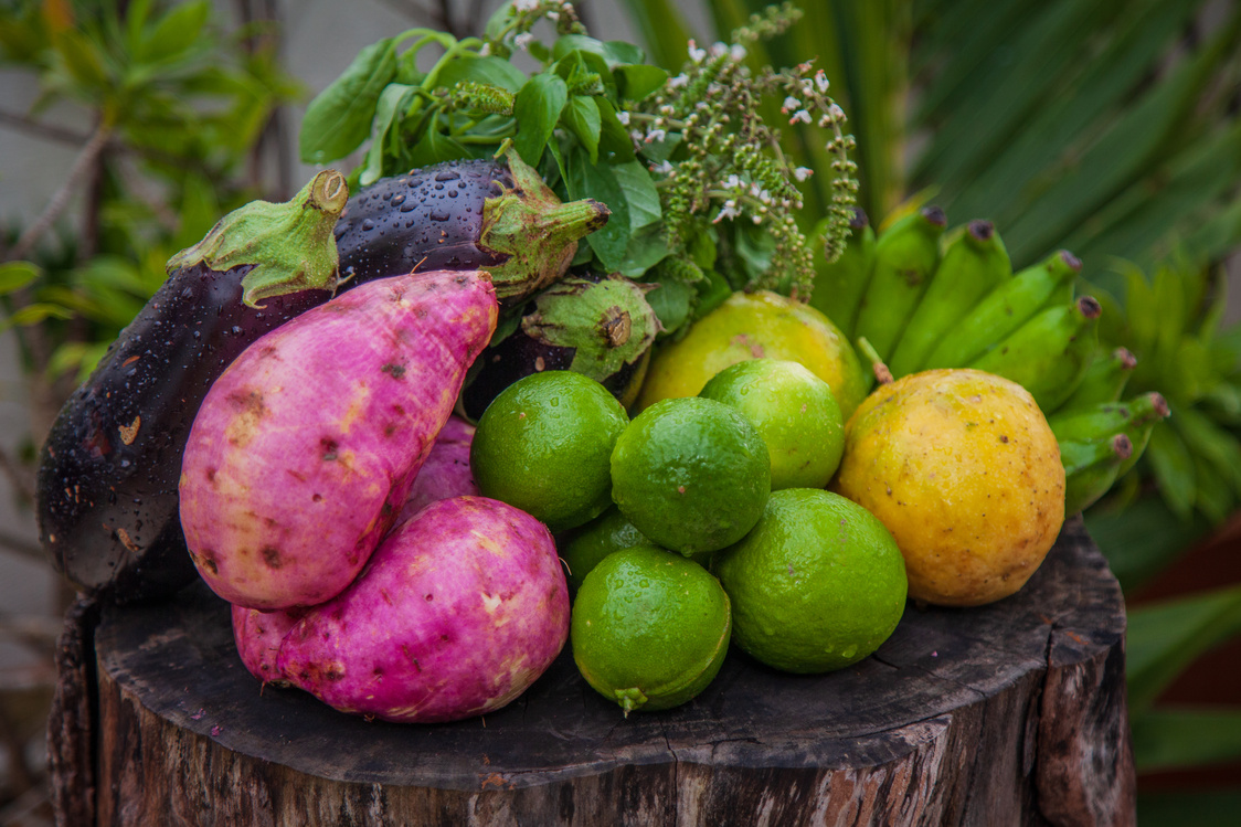 Organic and agroecological products are healthier and pesticide-free.